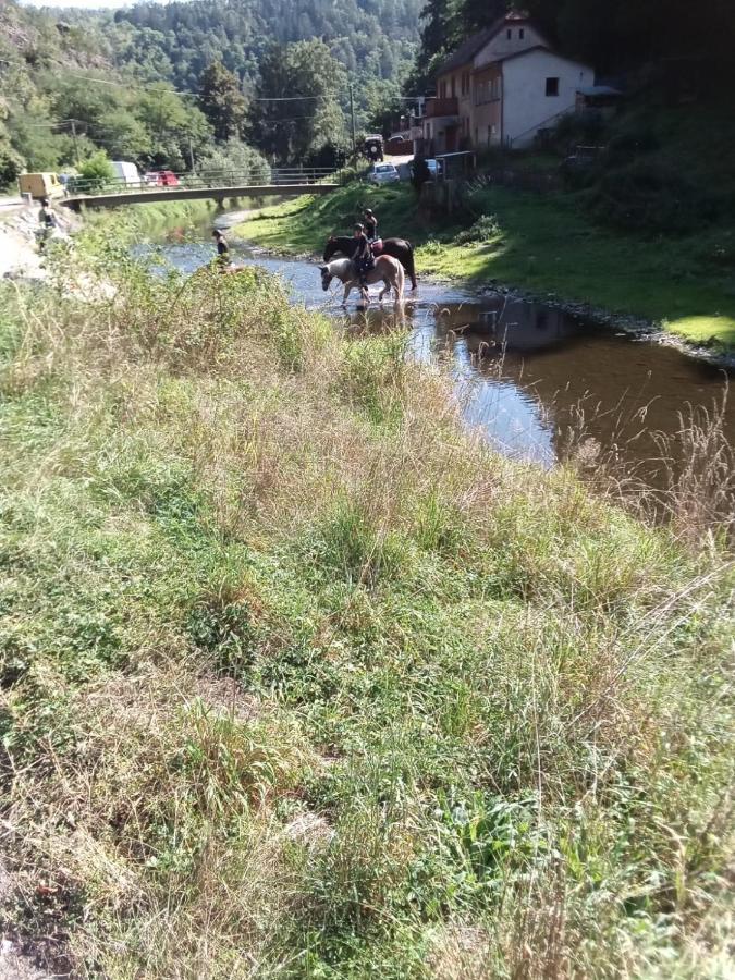 Rekreacni Chata Kocaba Stechowitz Esterno foto
